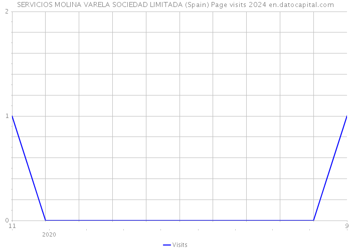 SERVICIOS MOLINA VARELA SOCIEDAD LIMITADA (Spain) Page visits 2024 