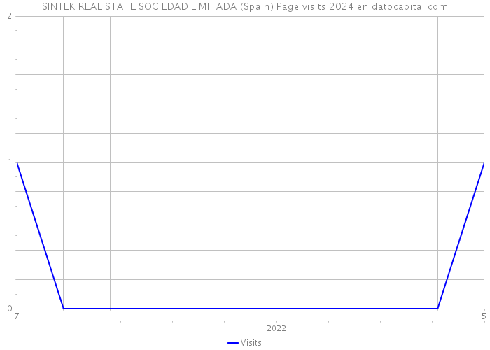 SINTEK REAL STATE SOCIEDAD LIMITADA (Spain) Page visits 2024 