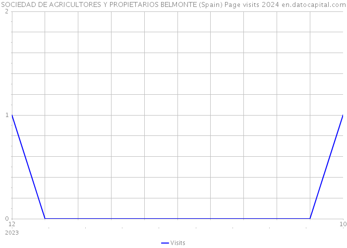 SOCIEDAD DE AGRICULTORES Y PROPIETARIOS BELMONTE (Spain) Page visits 2024 