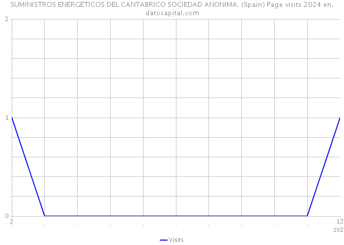 SUMINISTROS ENERGETICOS DEL CANTABRICO SOCIEDAD ANONIMA. (Spain) Page visits 2024 