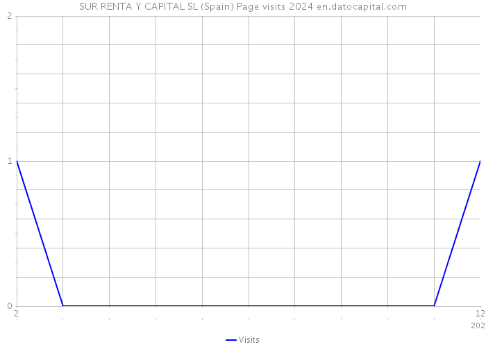 SUR RENTA Y CAPITAL SL (Spain) Page visits 2024 