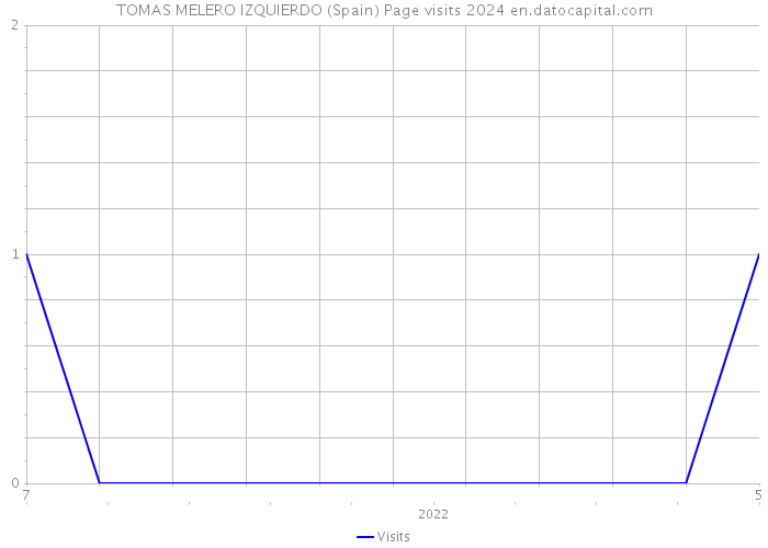 TOMAS MELERO IZQUIERDO (Spain) Page visits 2024 