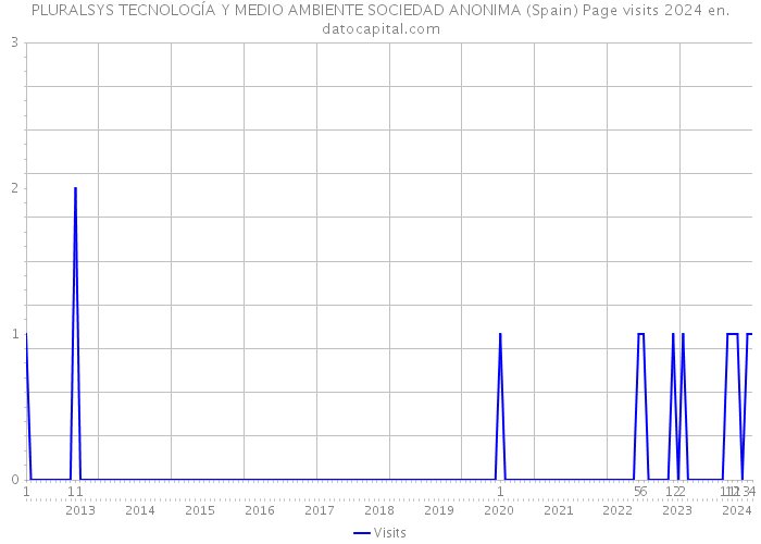 PLURALSYS TECNOLOGÍA Y MEDIO AMBIENTE SOCIEDAD ANONIMA (Spain) Page visits 2024 