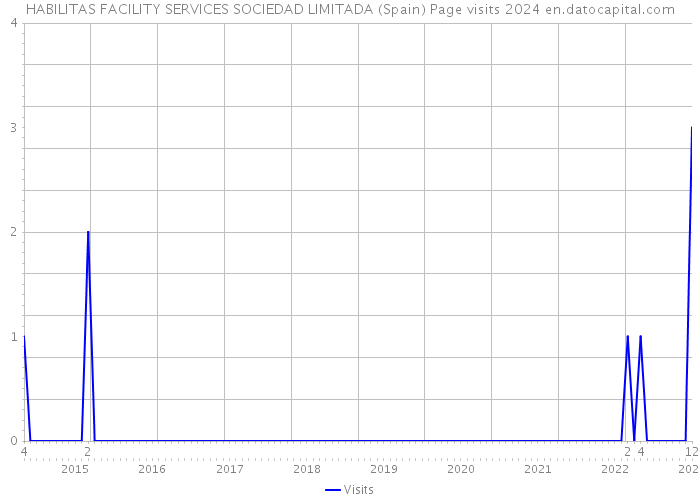 HABILITAS FACILITY SERVICES SOCIEDAD LIMITADA (Spain) Page visits 2024 