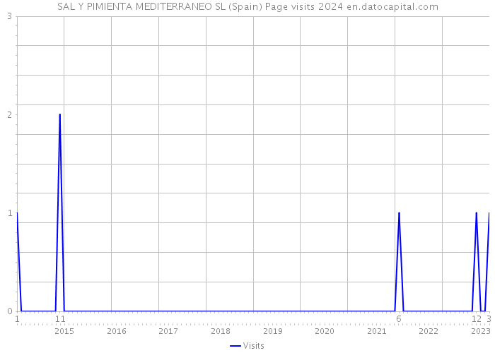 SAL Y PIMIENTA MEDITERRANEO SL (Spain) Page visits 2024 