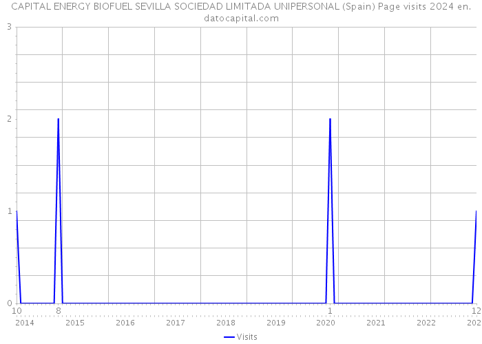 CAPITAL ENERGY BIOFUEL SEVILLA SOCIEDAD LIMITADA UNIPERSONAL (Spain) Page visits 2024 