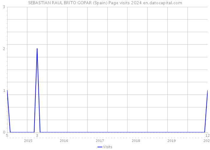 SEBASTIAN RAUL BRITO GOPAR (Spain) Page visits 2024 