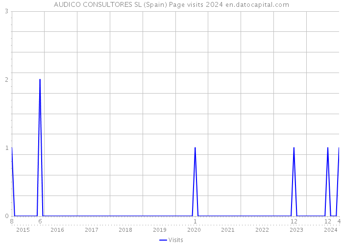AUDICO CONSULTORES SL (Spain) Page visits 2024 