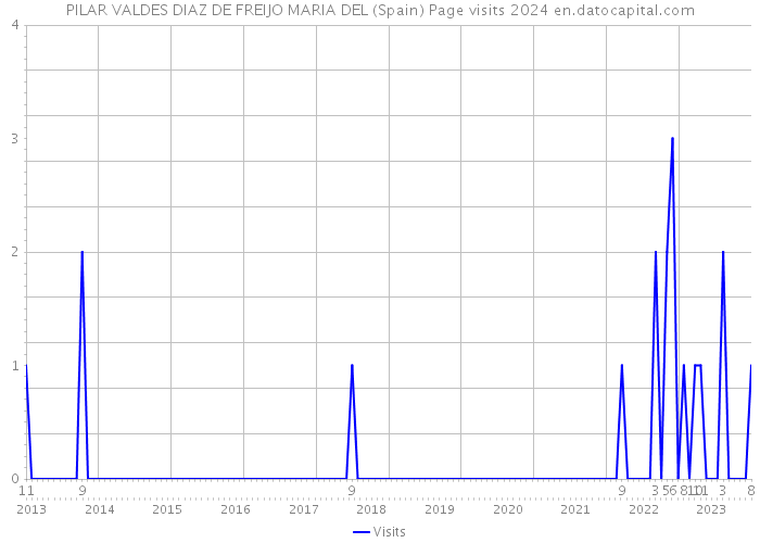 PILAR VALDES DIAZ DE FREIJO MARIA DEL (Spain) Page visits 2024 