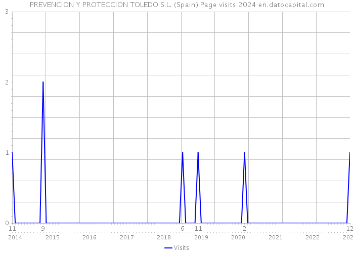 PREVENCION Y PROTECCION TOLEDO S.L. (Spain) Page visits 2024 