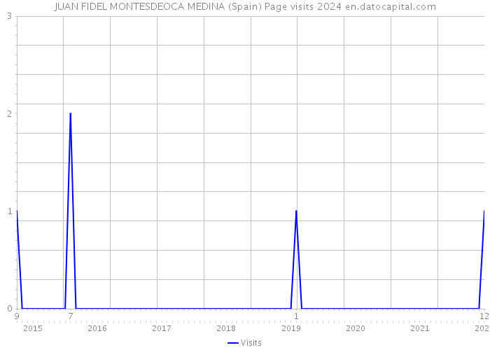 JUAN FIDEL MONTESDEOCA MEDINA (Spain) Page visits 2024 