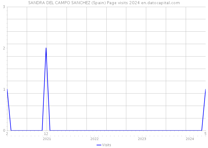 SANDRA DEL CAMPO SANCHEZ (Spain) Page visits 2024 