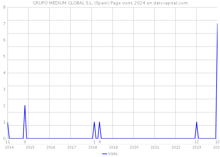 GRUPO MEDIUM GLOBAL S.L. (Spain) Page visits 2024 