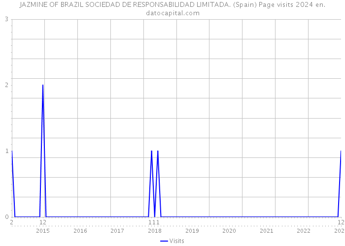 JAZMINE OF BRAZIL SOCIEDAD DE RESPONSABILIDAD LIMITADA. (Spain) Page visits 2024 