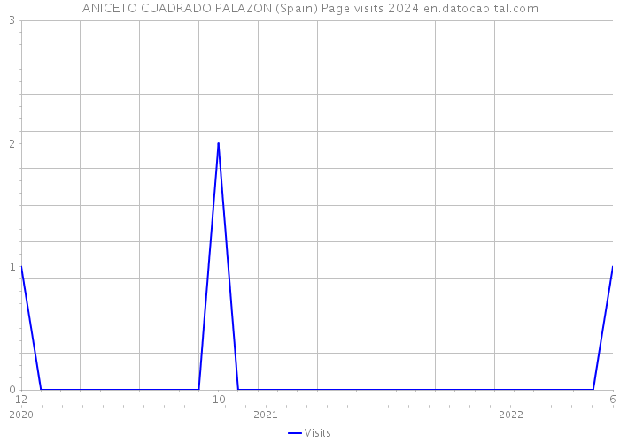 ANICETO CUADRADO PALAZON (Spain) Page visits 2024 