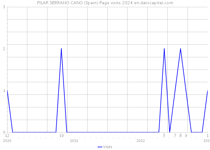 PILAR SERRANO CANO (Spain) Page visits 2024 