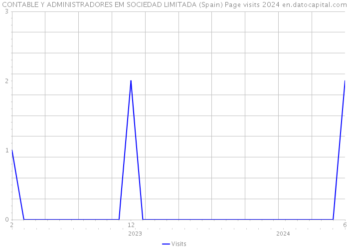 CONTABLE Y ADMINISTRADORES EM SOCIEDAD LIMITADA (Spain) Page visits 2024 