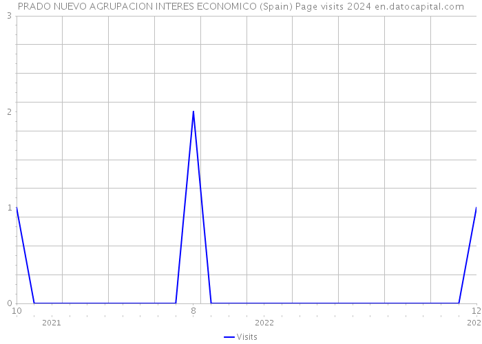 PRADO NUEVO AGRUPACION INTERES ECONOMICO (Spain) Page visits 2024 