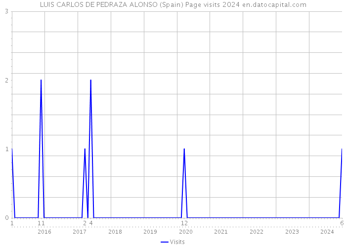 LUIS CARLOS DE PEDRAZA ALONSO (Spain) Page visits 2024 