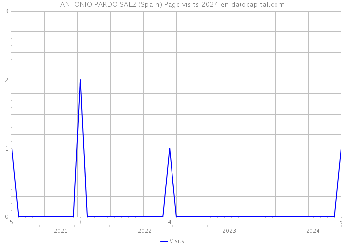 ANTONIO PARDO SAEZ (Spain) Page visits 2024 
