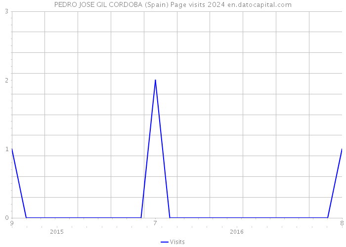 PEDRO JOSE GIL CORDOBA (Spain) Page visits 2024 