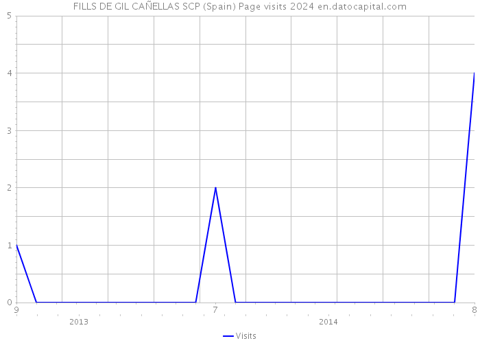 FILLS DE GIL CAÑELLAS SCP (Spain) Page visits 2024 