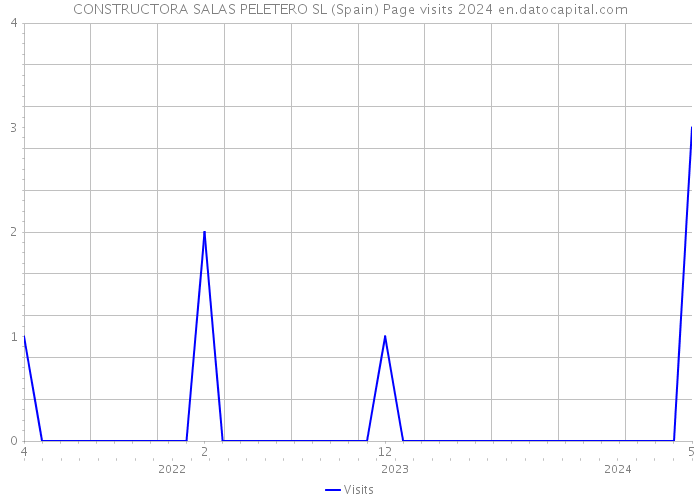 CONSTRUCTORA SALAS PELETERO SL (Spain) Page visits 2024 