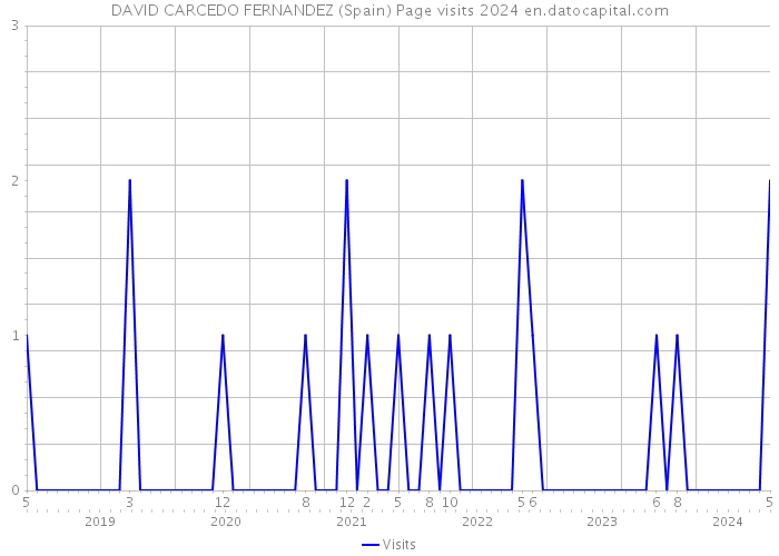DAVID CARCEDO FERNANDEZ (Spain) Page visits 2024 