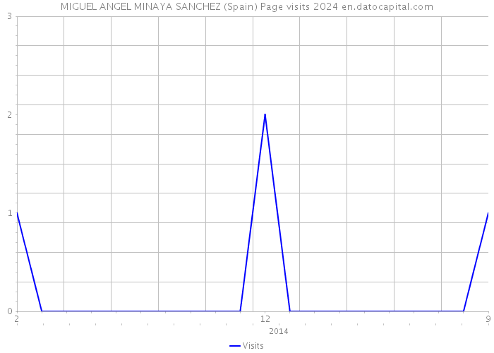 MIGUEL ANGEL MINAYA SANCHEZ (Spain) Page visits 2024 
