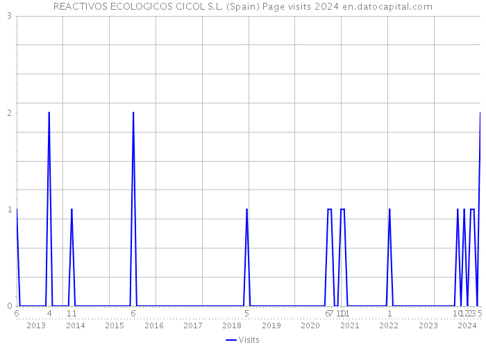 REACTIVOS ECOLOGICOS CICOL S.L. (Spain) Page visits 2024 