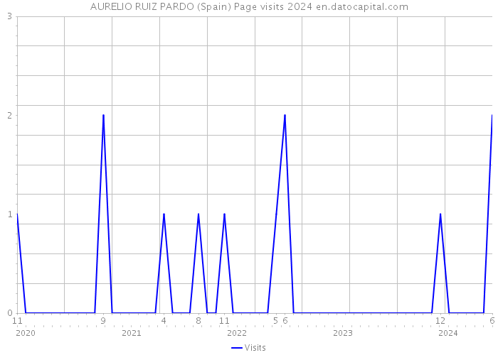 AURELIO RUIZ PARDO (Spain) Page visits 2024 