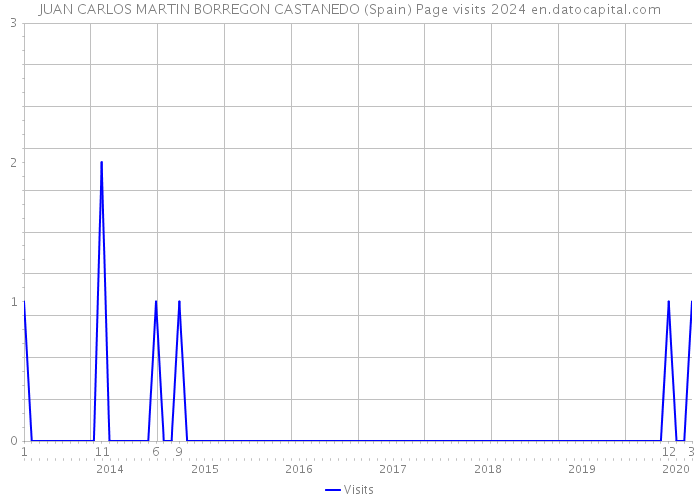 JUAN CARLOS MARTIN BORREGON CASTANEDO (Spain) Page visits 2024 
