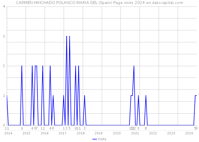 CARMEN HINCHADO POLANCO MARIA DEL (Spain) Page visits 2024 