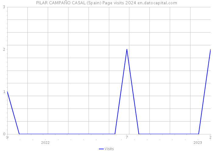 PILAR CAMPAÑO CASAL (Spain) Page visits 2024 