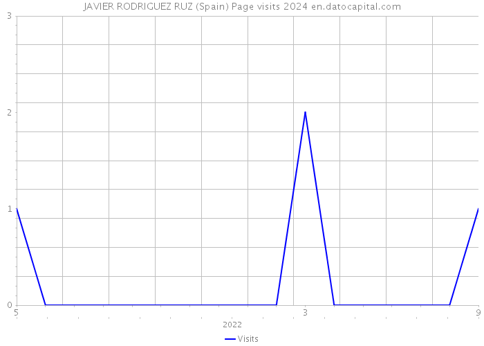 JAVIER RODRIGUEZ RUZ (Spain) Page visits 2024 