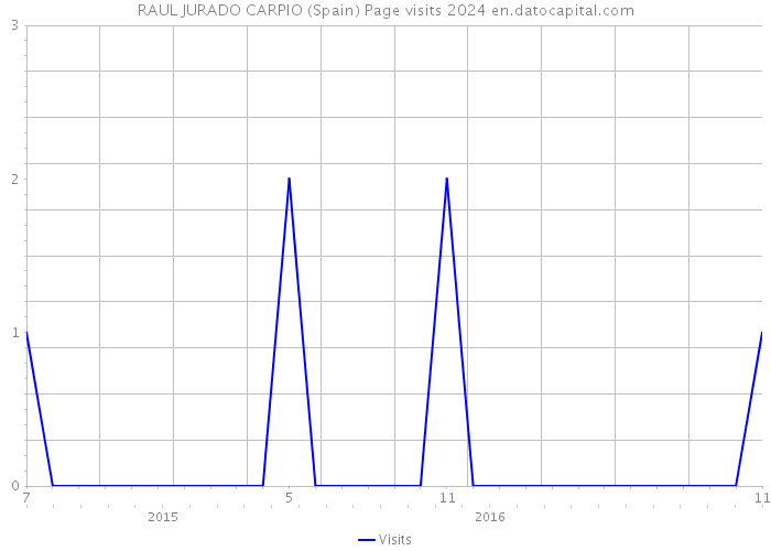 RAUL JURADO CARPIO (Spain) Page visits 2024 