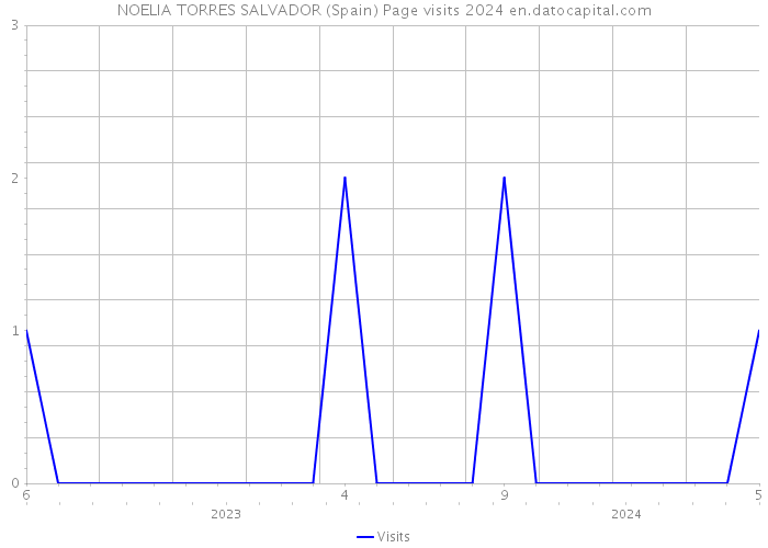 NOELIA TORRES SALVADOR (Spain) Page visits 2024 