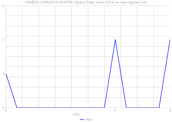 VANESA CARRASCO PASTOR (Spain) Page visits 2024 