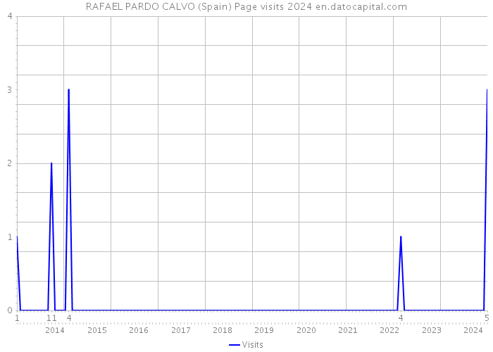 RAFAEL PARDO CALVO (Spain) Page visits 2024 