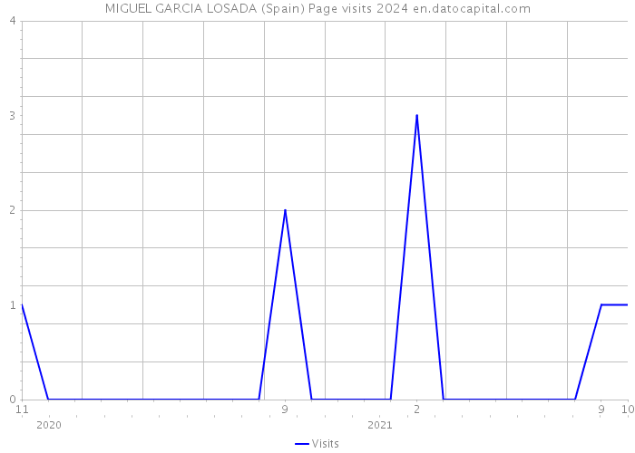 MIGUEL GARCIA LOSADA (Spain) Page visits 2024 