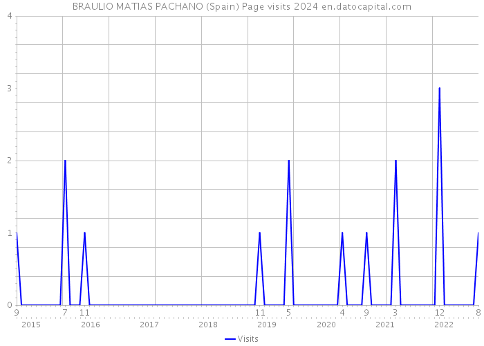 BRAULIO MATIAS PACHANO (Spain) Page visits 2024 