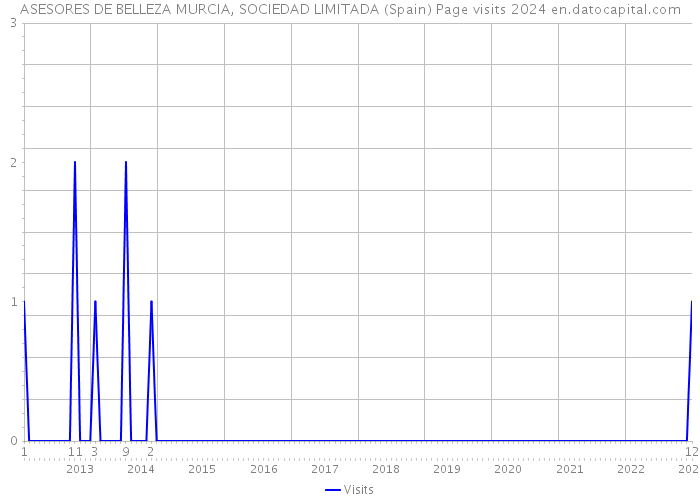 ASESORES DE BELLEZA MURCIA, SOCIEDAD LIMITADA (Spain) Page visits 2024 