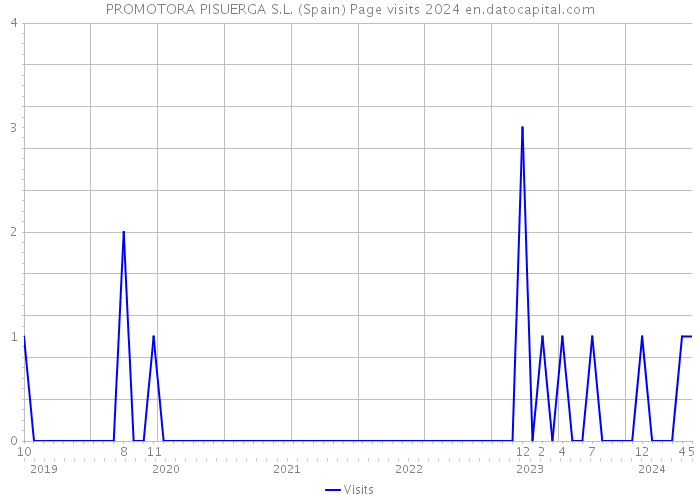 PROMOTORA PISUERGA S.L. (Spain) Page visits 2024 