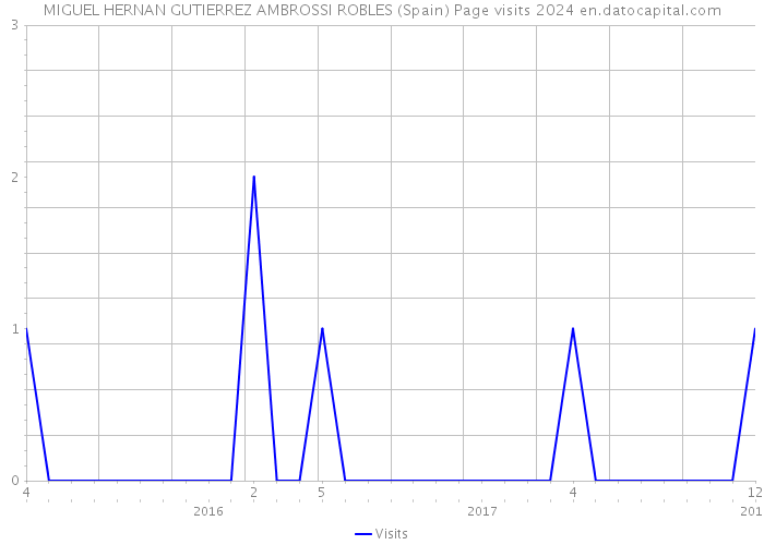 MIGUEL HERNAN GUTIERREZ AMBROSSI ROBLES (Spain) Page visits 2024 