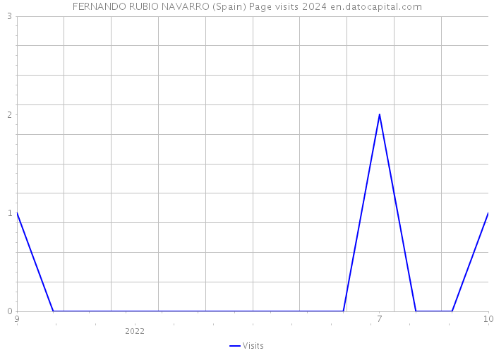FERNANDO RUBIO NAVARRO (Spain) Page visits 2024 