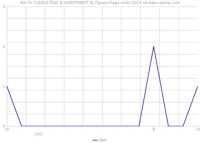 MAYA CONSULTING & INVESTMENT SL (Spain) Page visits 2024 