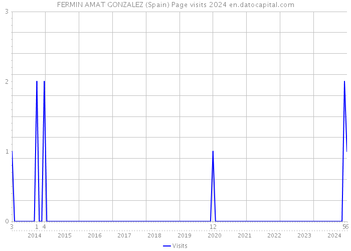 FERMIN AMAT GONZALEZ (Spain) Page visits 2024 