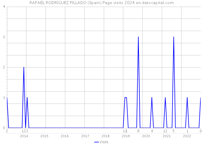 RAFAEL RODRIGUEZ PILLADO (Spain) Page visits 2024 