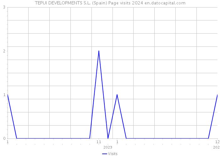 TEPUI DEVELOPMENTS S.L. (Spain) Page visits 2024 