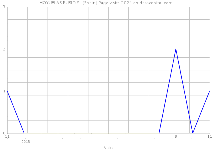HOYUELAS RUBIO SL (Spain) Page visits 2024 